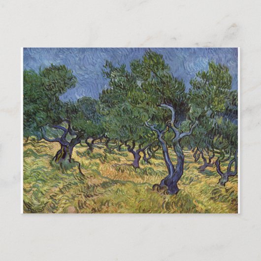 Carte Postale Vincent van Gogh - Olive Grove (Devant)