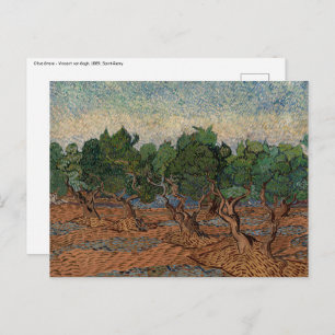 Carte Postale Vincent van Gogh - Olive Grove