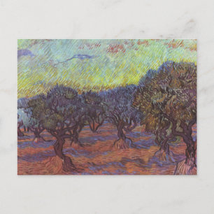 Carte Postale Vincent Van Gogh - Olive Grove