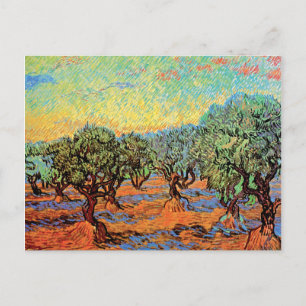 Carte Postale Vincent Van Gogh - Olive Grove avec ciel orange