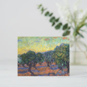 Carte Postale Vincent Van Gogh Olive Grove Impressionnisme Art (Debout devant)