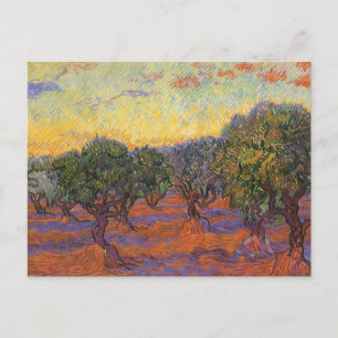 Carte Postale Vincent van Gogh - Olive Grove, Orange Sky