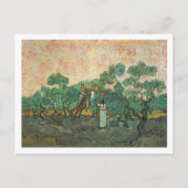 Carte Postale Vincent van Gogh | Olive Pickers, Saint-Remy (Devant)