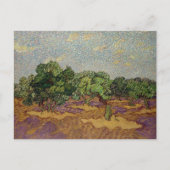 Carte Postale Vincent van Gogh - Olive Trees (Devant)