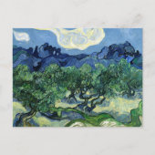 Carte postale Vincent van Gogh Olive Trees | Étonn (Devant)