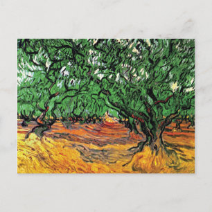 Carte Postale Vincent Van Gogh - Oliviers Beaux-Arts
