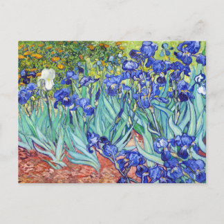 Carte Postale Vincent Van Gogh painting Irises