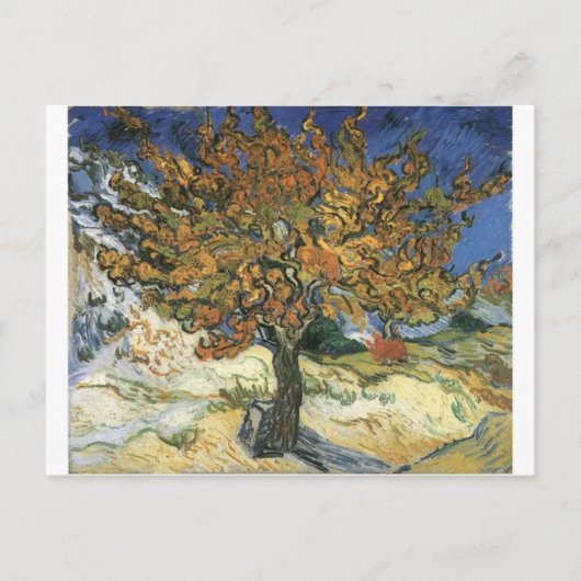 Carte Postale Vincent Van Gogh Peinture : Van Gogh Mulberry Tree (Devant)