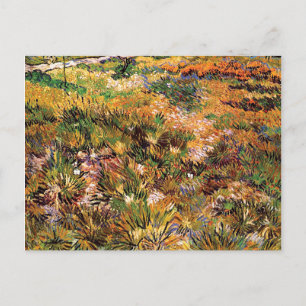 Carte Postale Vincent Van Gogh - Pré Dans Le Jardin Art