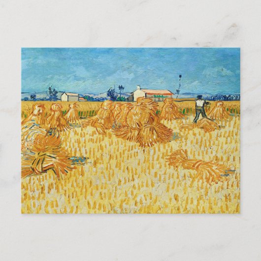 Carte Postale Vincent Van Gogh, Récolte de maïs en Provence (Devant)