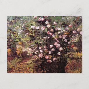 Carte Postale Vincent Van Gogh - Rosier en Fleurs Beaux-Arts