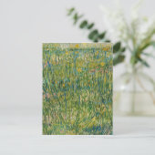 Carte Postale Vincent van Gogh - Tache d'herbe (Debout devant)