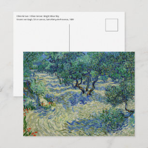 Carte Postale Vincent van Gogh - Verger d'oliviers
