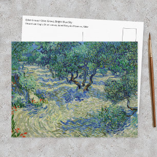 Carte Postale Vincent van Gogh - Verger d'oliviers