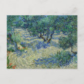 Carte Postale Vincent van Gogh - Verger d'oliviers (Devant)
