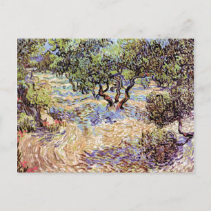 Carte Postale Vincent Van Gogh - Verger d'oliviers Beaux-Arts