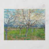 Carte Postale Vincent van Gogh - Verger Rose (Devant)