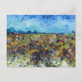 Carte Postale Vincent van Gogh - Vignoble vert (Devant)
