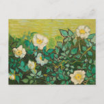 Carte Postale Vincent Van Gogh Wild Art Rose<br><div class="desc">Vincent Van Gogh Wild Rose Fine Art Carte postale</div>