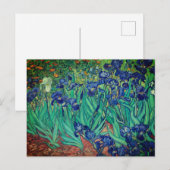 Carte Postale Vincent van Gogh's Irises : (Devant / Derrière)