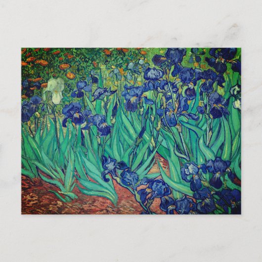 Carte Postale Vincent van Gogh's Irises : (Devant)