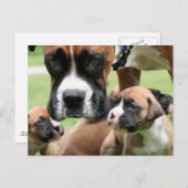 Carte Postale Vindy et Pups - Photo 09 (Devant / Derrière)