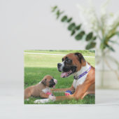 Carte Postale Vindy et Pups - Photo 95 (Debout devant)