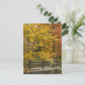 Carte Postale Vine d'automne Weddinga (Debout devant)