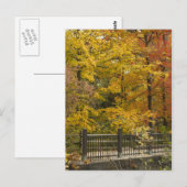 Carte Postale Vine d'automne Weddinga (Devant / Derrière)