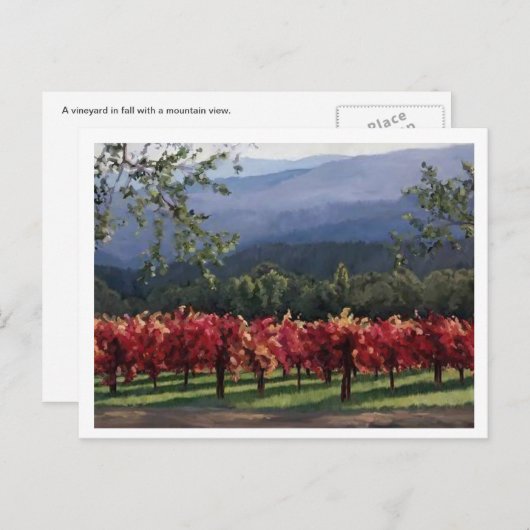 Carte Postale Vineyard (Devant / Derrière)