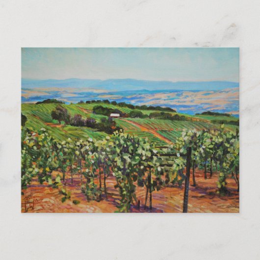 Carte postale Vineyard (Devant)