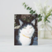 Carte Postale Vinnie (Debout devant)