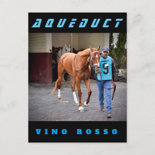 Carte Postale Vino Rosso - Paddock