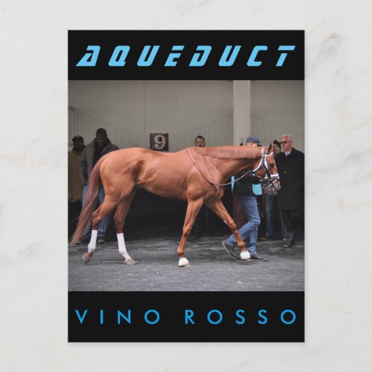 Carte Postale Vino Rosso - Todd Pletcher (Devant)