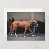 Carte Postale Vino Rosso - Todd Pletcher (Devant / Derrière)