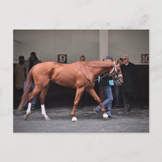 Carte Postale Vino Rosso - Todd Pletcher (Devant)