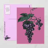 Carte postale Vins de raisin (Devant / Derrière)