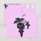 Carte postale Vins de raisin (Devant / Derrière)