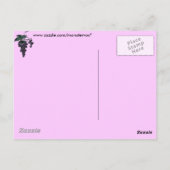 Carte postale Vins de raisin (Dos)