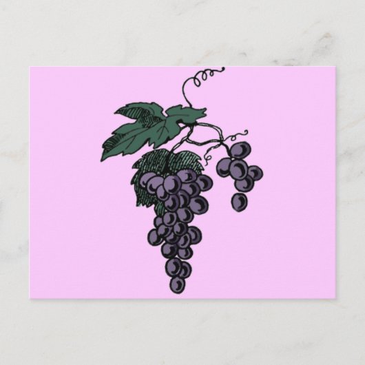 Carte postale Vins de raisin (Devant)