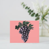 Carte postale Vins de raisin (Debout devant)