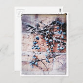 Carte Postale Vins d'hiver et baies (Devant / Derrière)