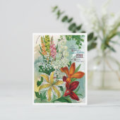 Carte postale vintage (Debout devant)