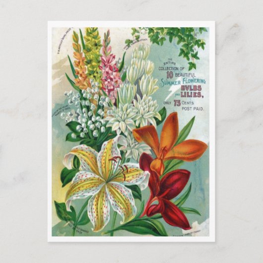 Carte postale vintage (Devant)