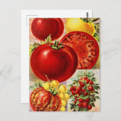 Carte postale vintage (Devant / Derrière)