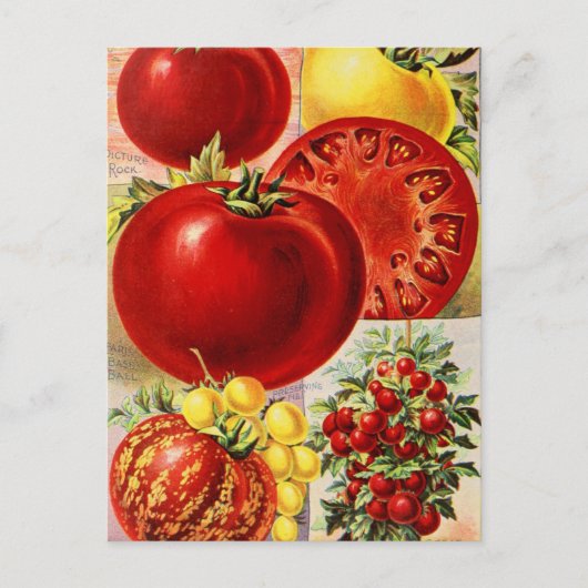 Carte postale vintage (Devant)