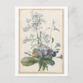 Carte postale vintage (Devant)