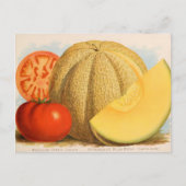 Carte postale vintage (Devant)