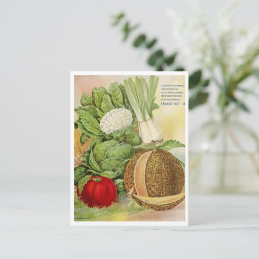 Carte postale vintage (Debout devant)