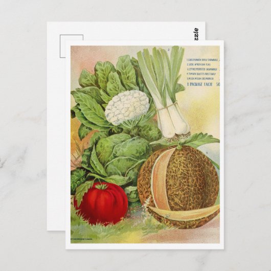 Carte postale vintage (Devant / Derrière)